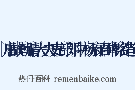 唐故朝请大夫吏部郎中杨府君碑铭造句是什么意思的图片